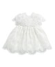Embroidered Organza Dress image number 1