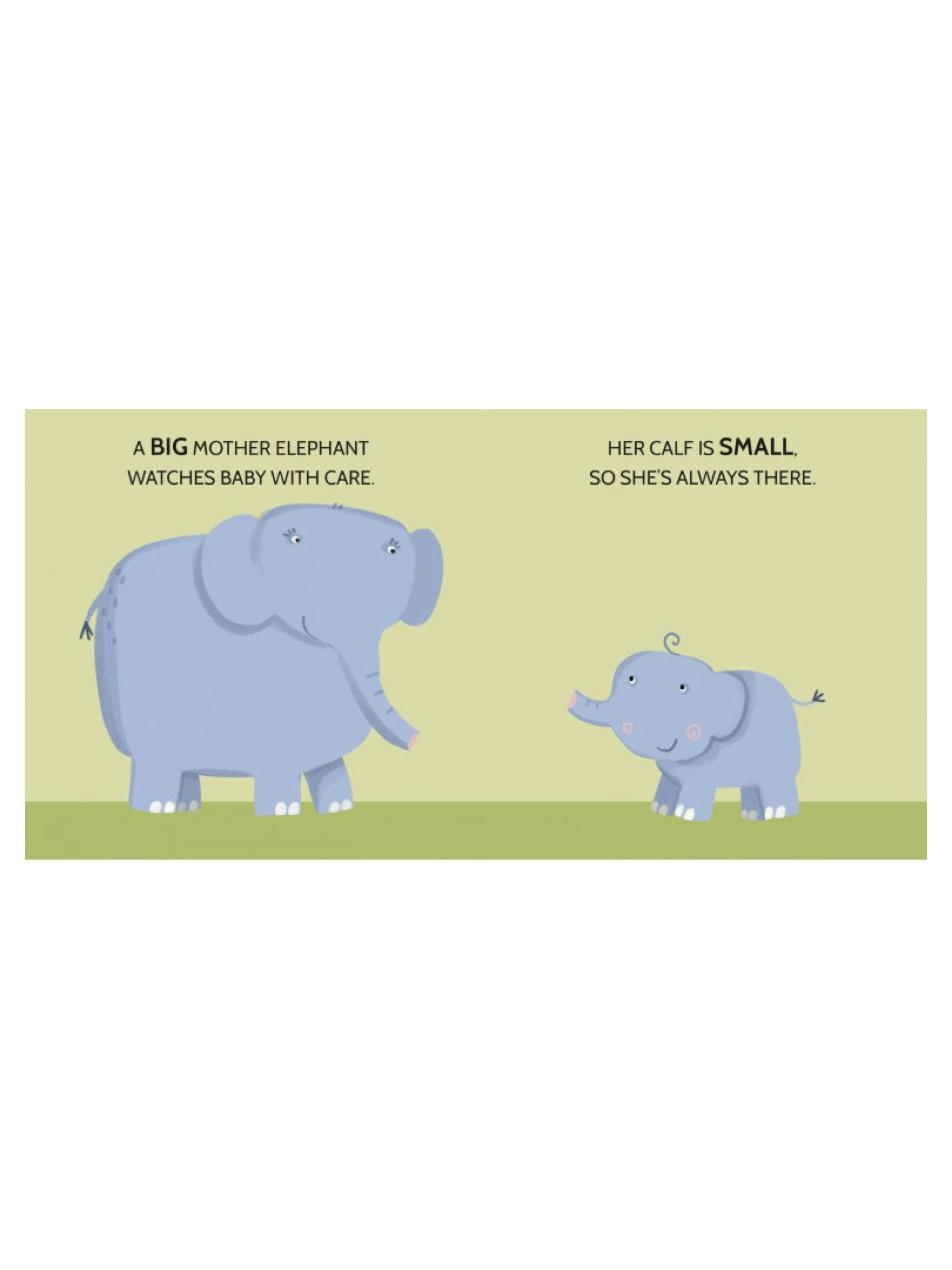 Sassi Book and Puzzles - Opposites image number 4