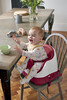 Baby Bug Cherry with Safari Highchair image number 23