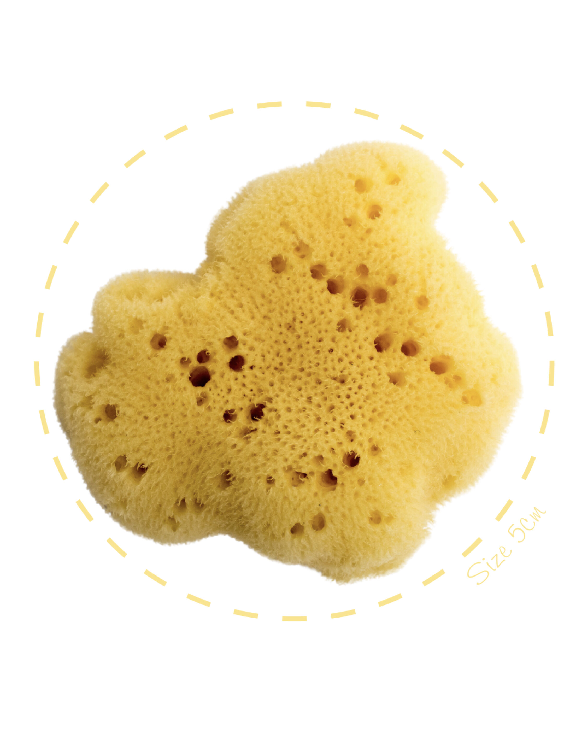 Babu Bellini Premium Fine Silk Sea Sponge 10cm - Natural Baby Bath Sponge image number 8
