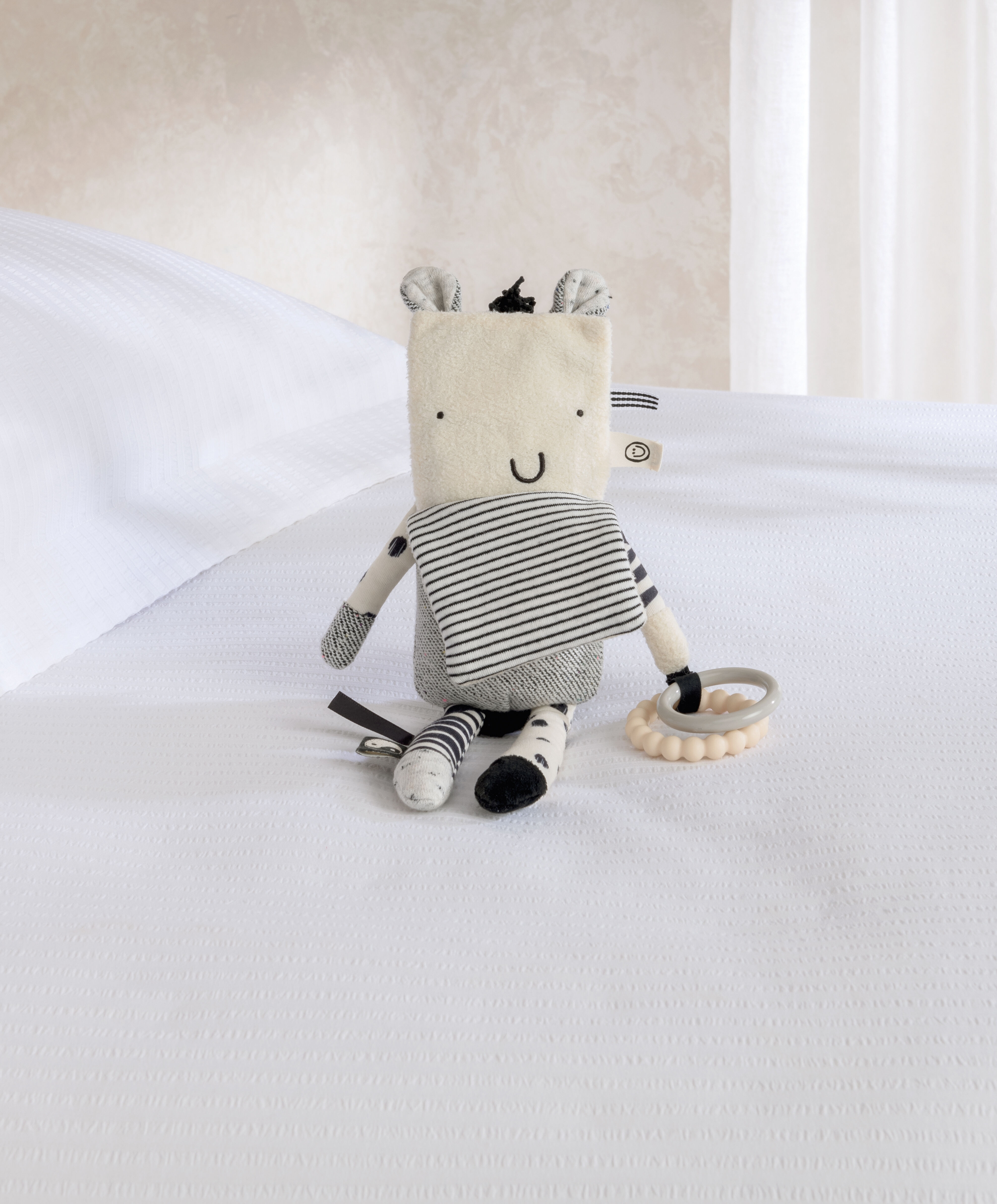 Another Fox - Activity Zebra image number 1