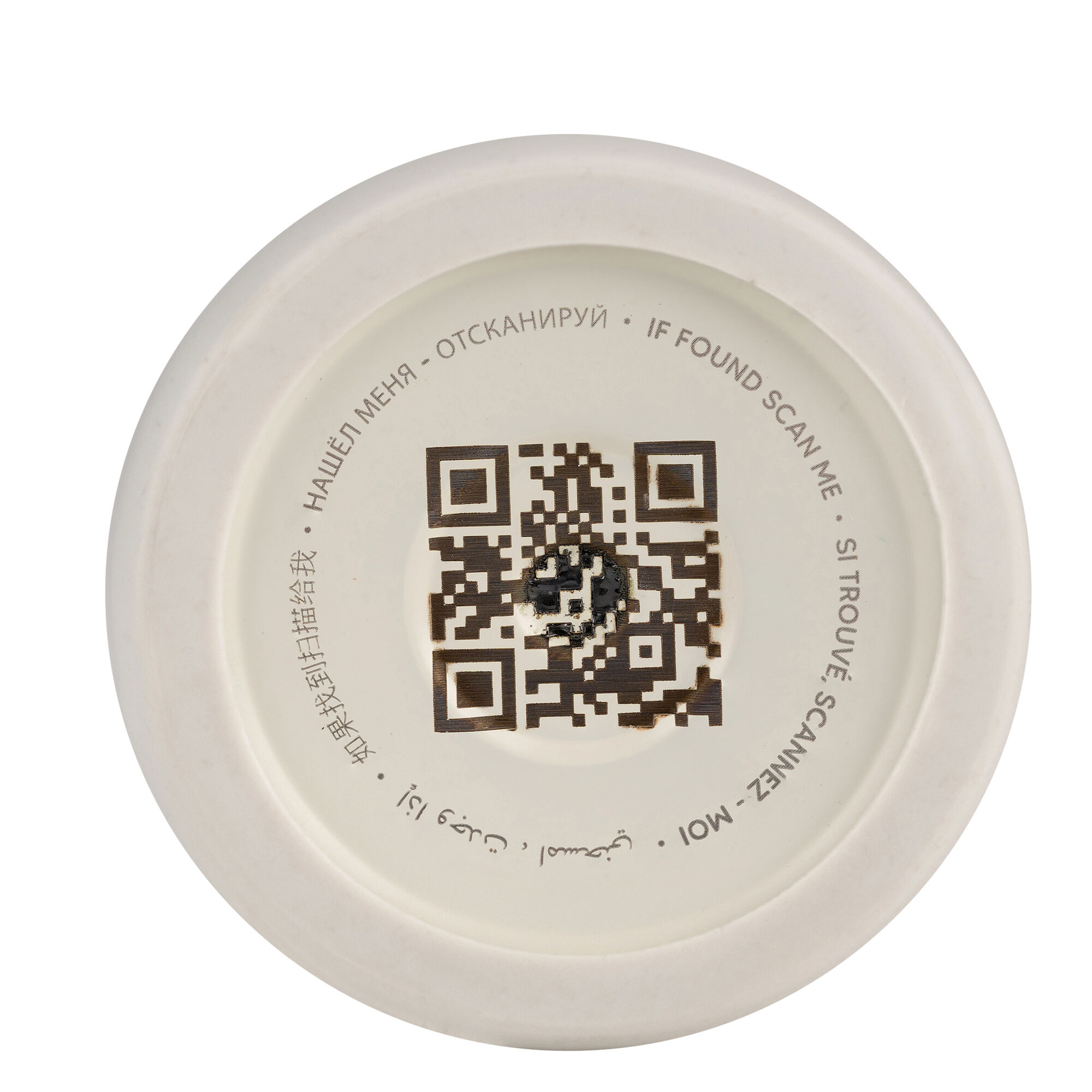 Citron Water Bottle 250ml Dino image number 6