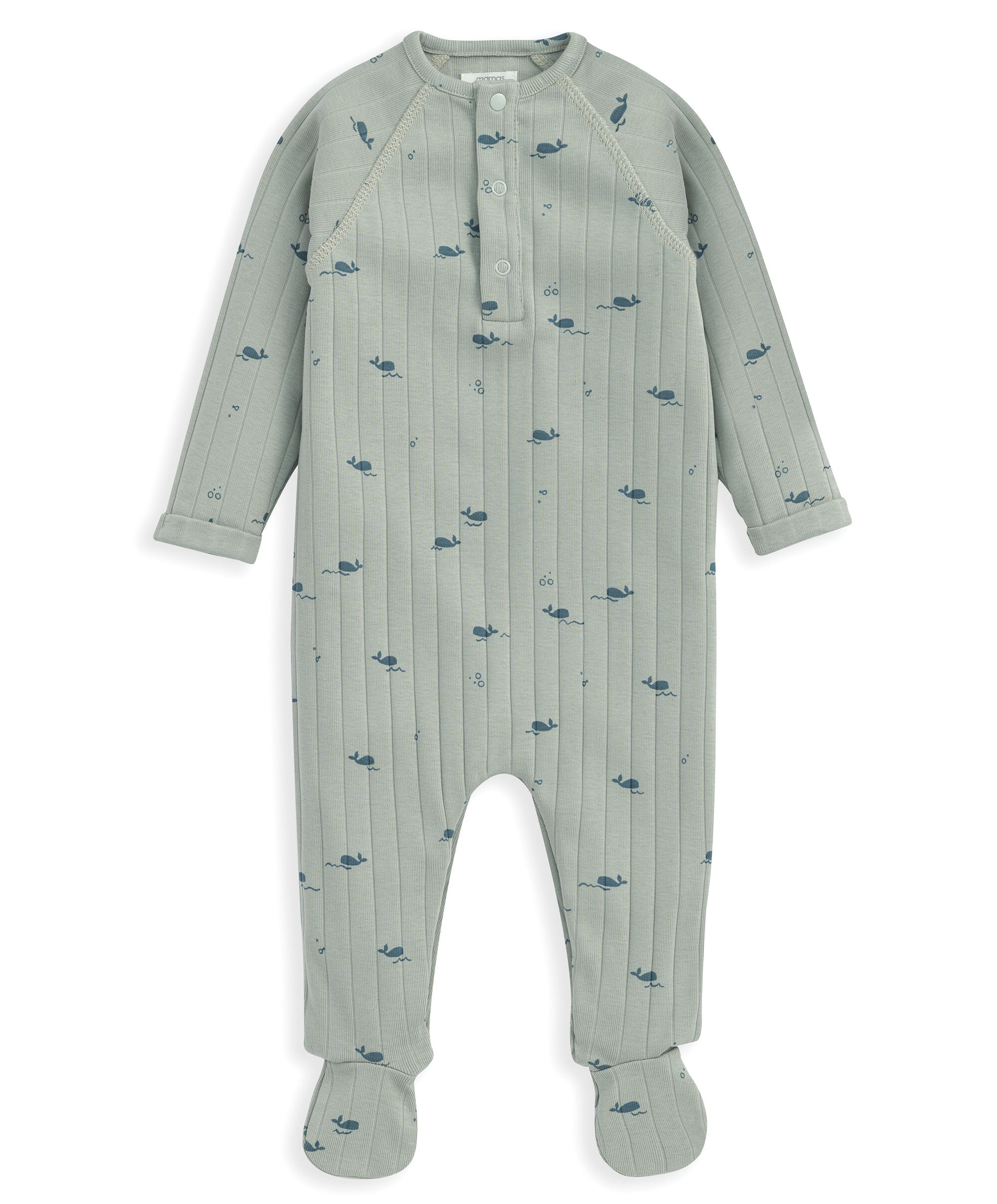 Whale All in one image number 2