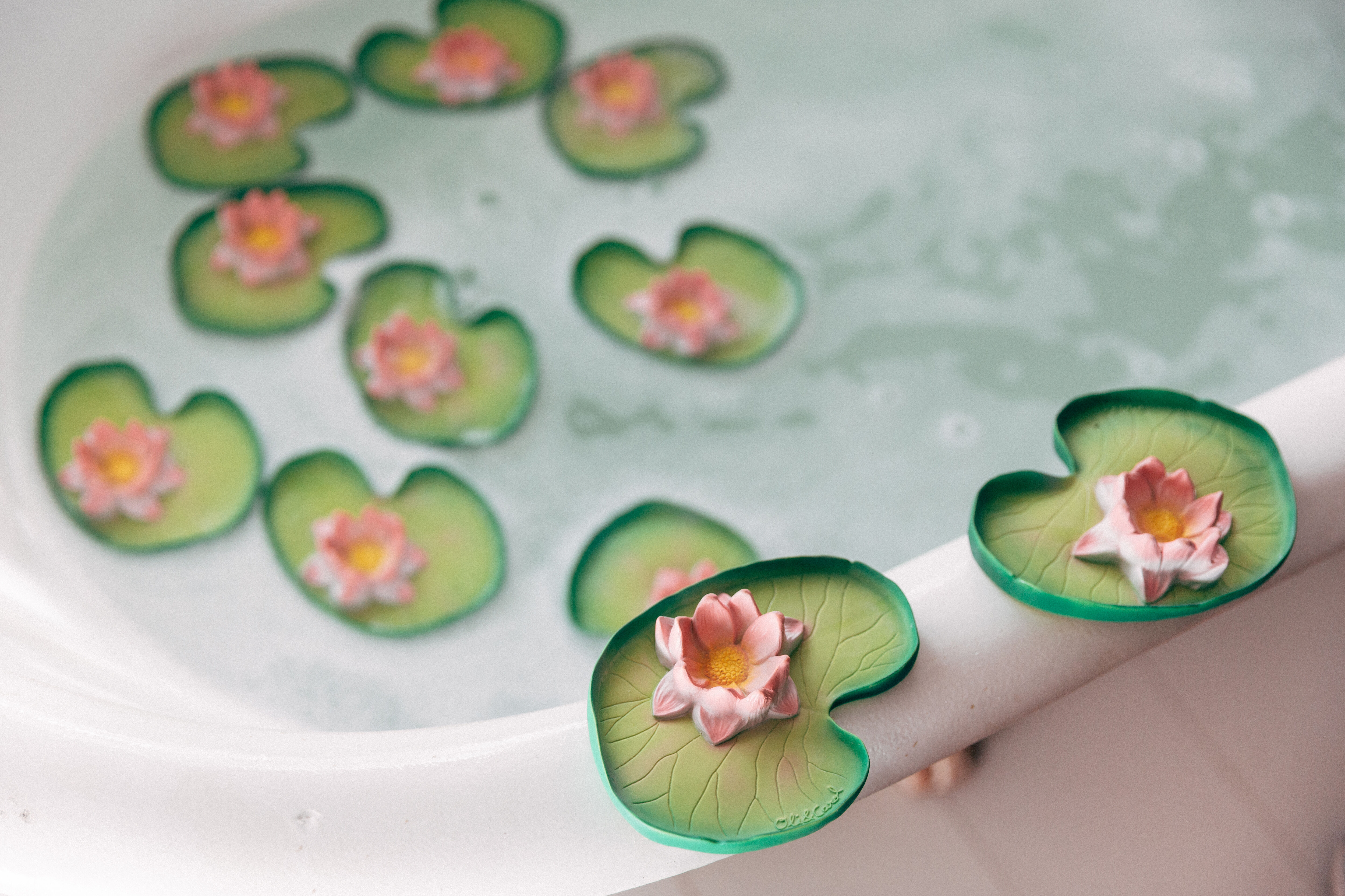 Oli & Carol Water Lily image number 5