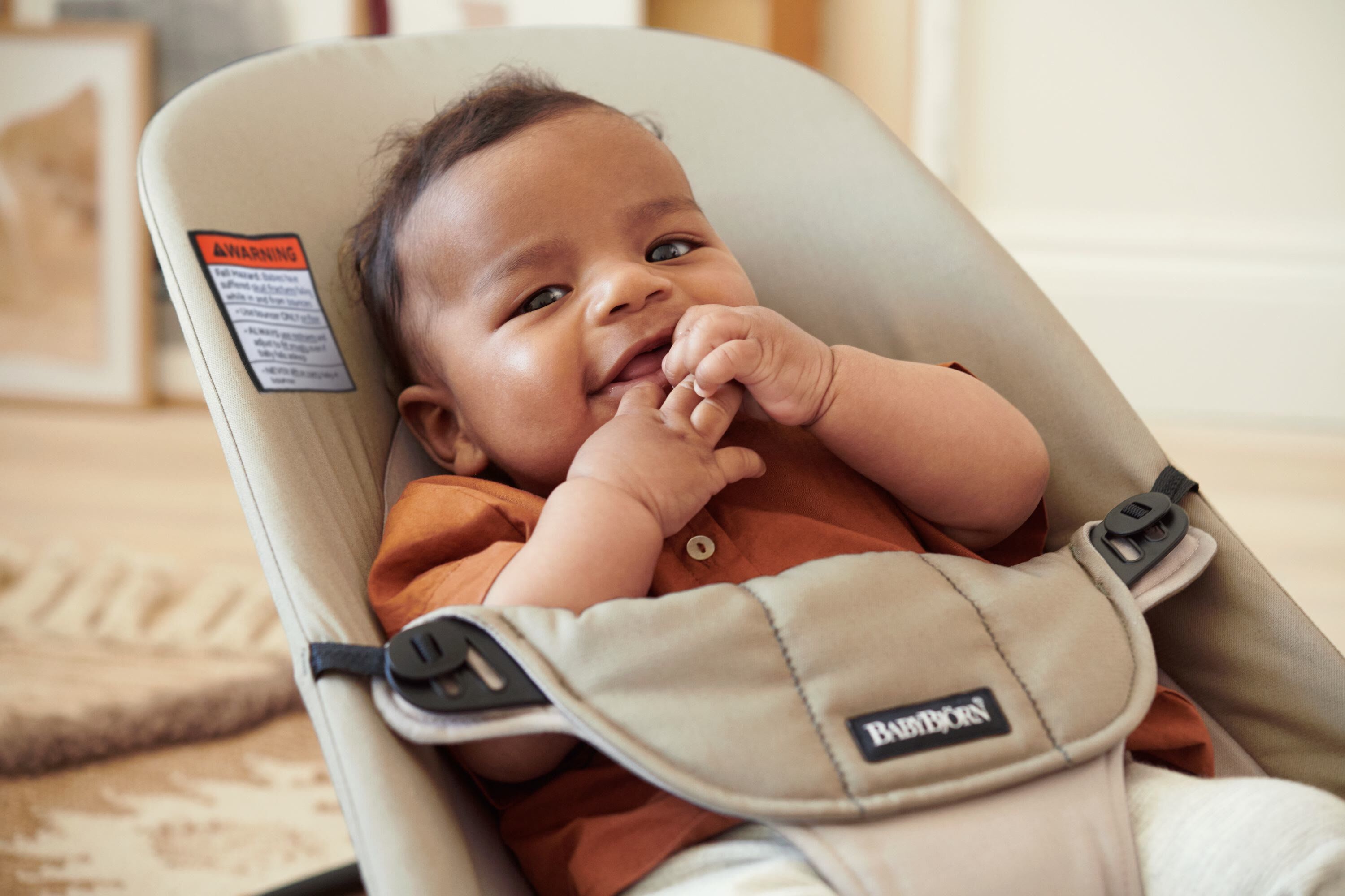 Babybjorn Bouncer Balance Soft  - Khaki/Beige image number 3
