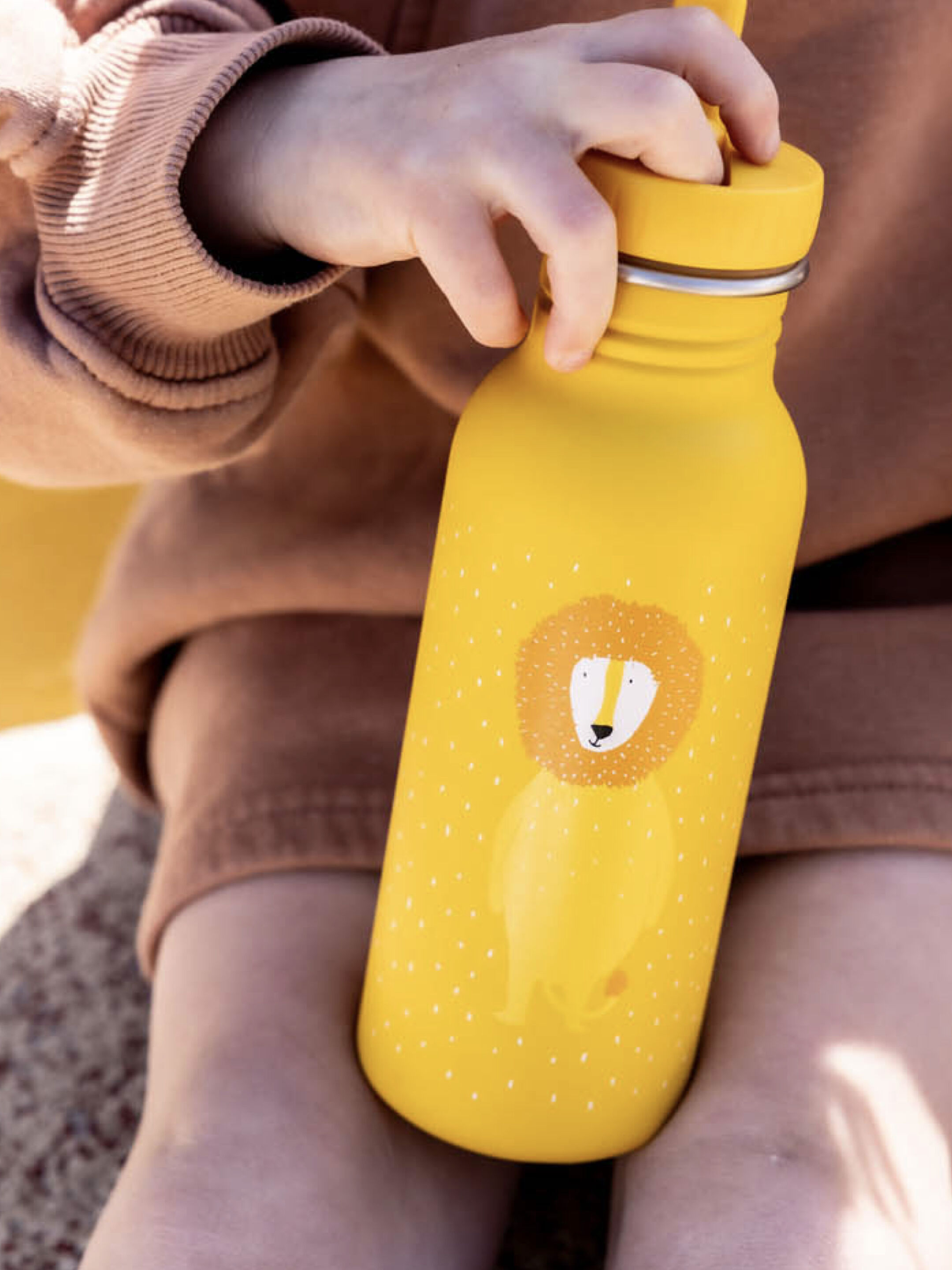Trixie Stainless Steel Water Bottle - 500ml - Mr. Lion image number 1