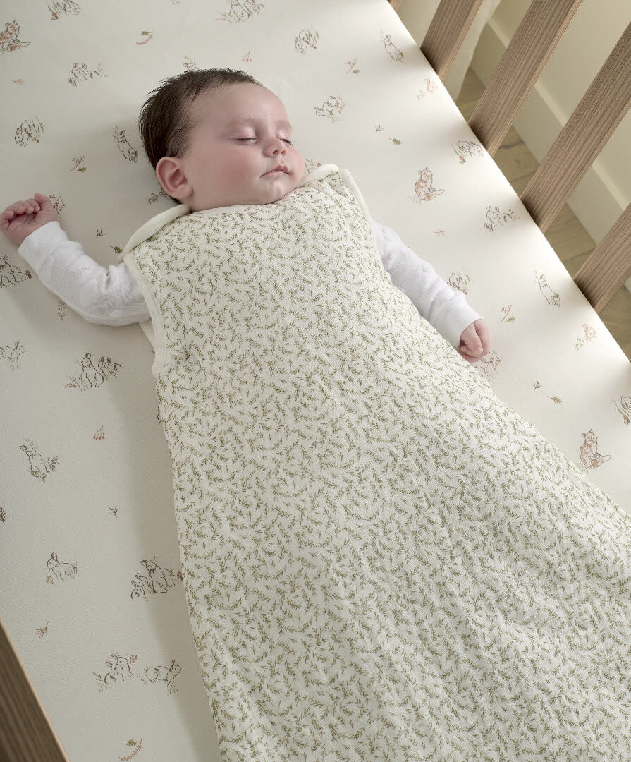 Muslin Dreampod 0-6 months 2.5 Tog - Leaf image number 5