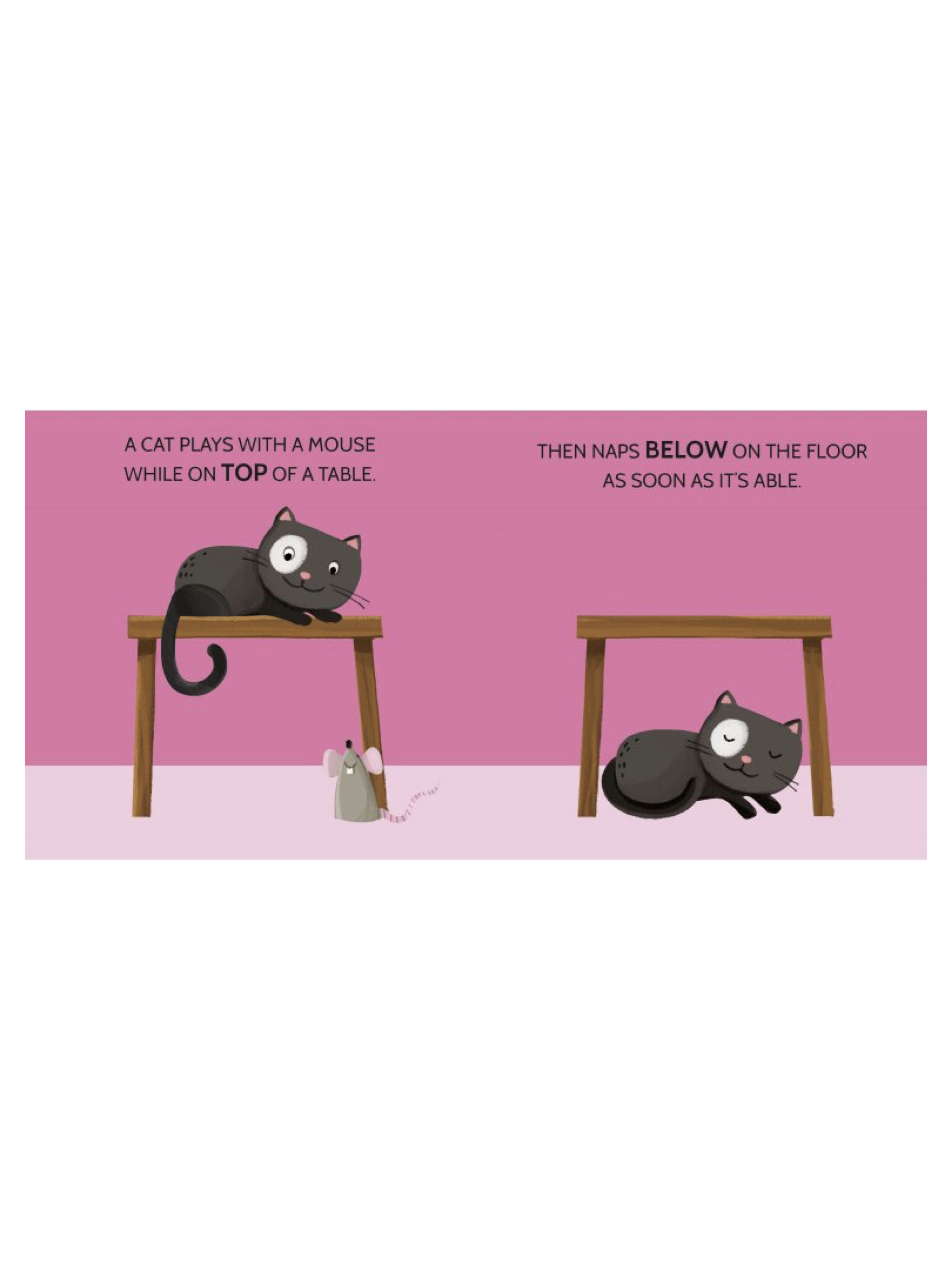 Sassi Book and Puzzles - Opposites image number 5