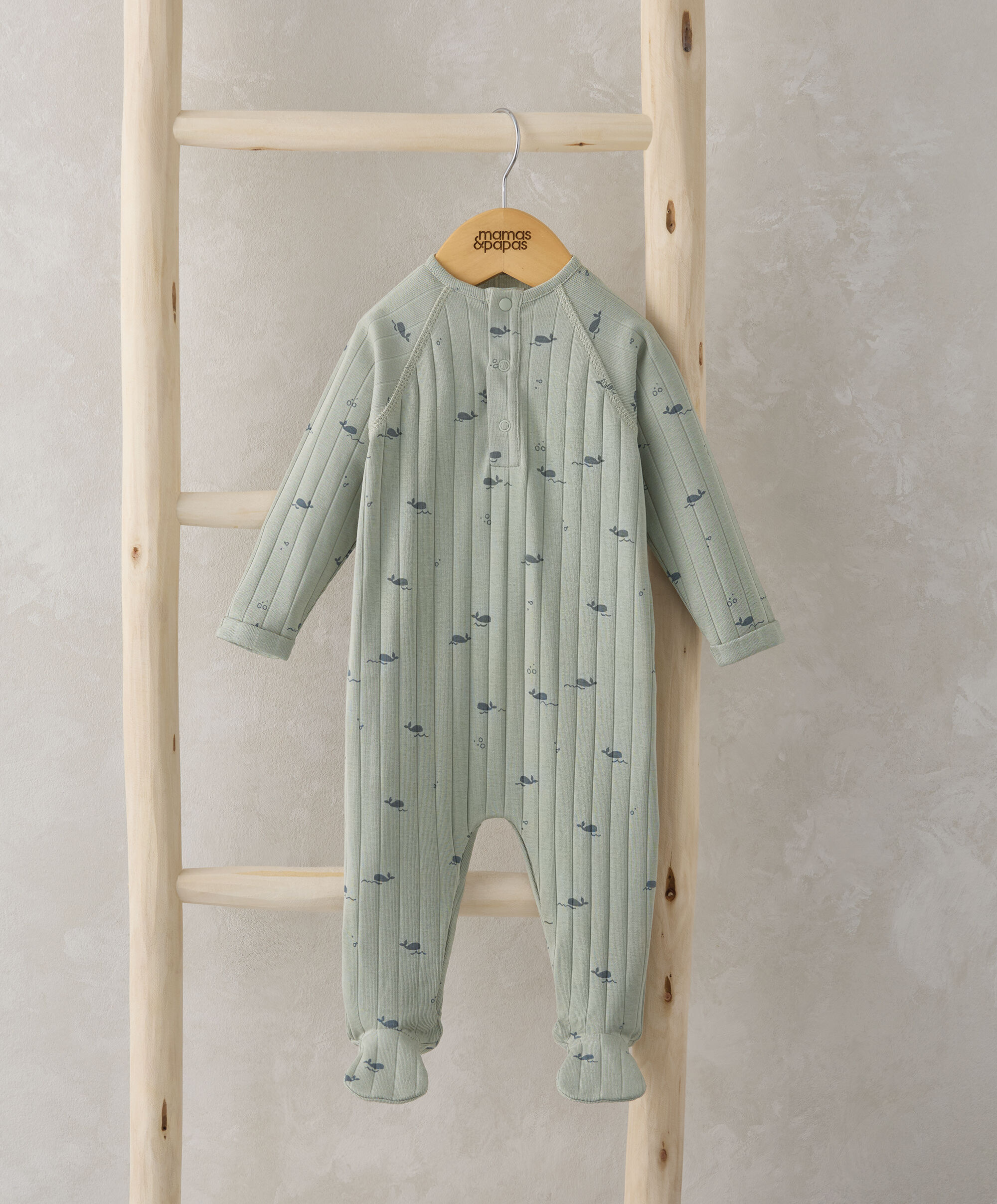 Whale All in one image number 1