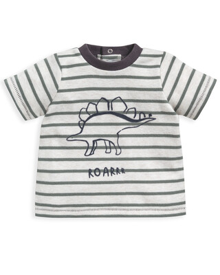 Short Sleeve Dinosaur T-shirt