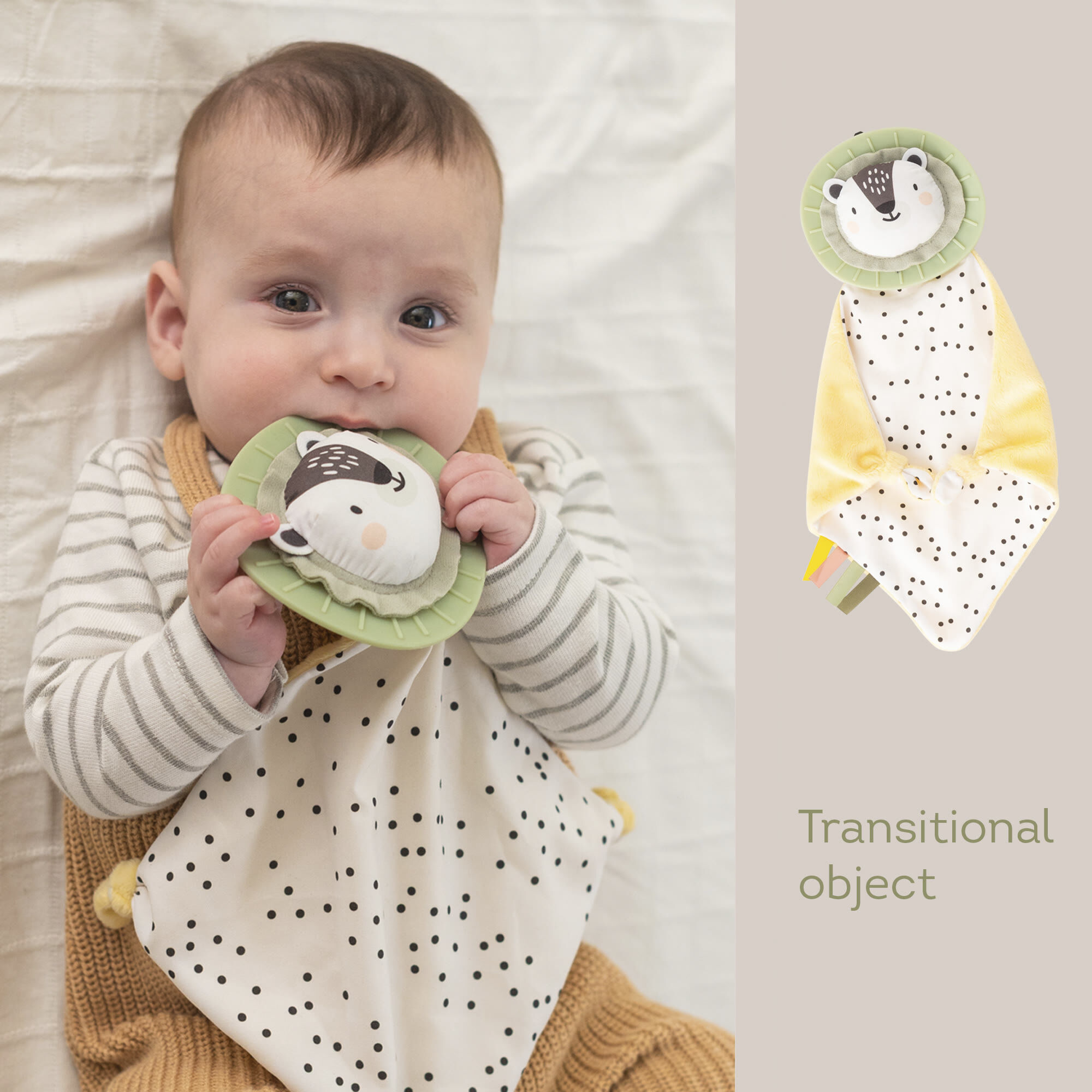 Taf Toys Newborn Develop & Play Kit image number 3