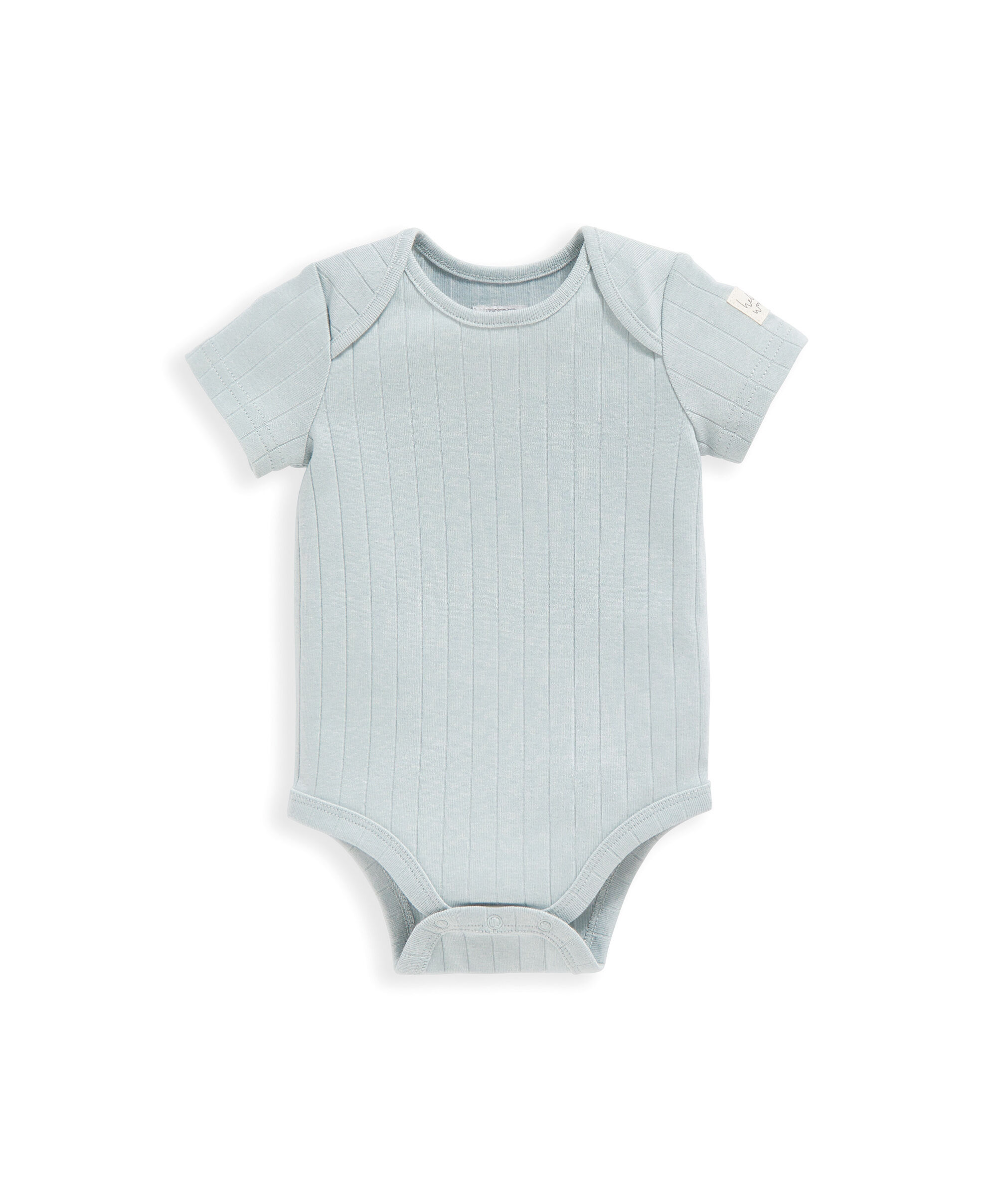 5 Piece Turtle Set image number 5