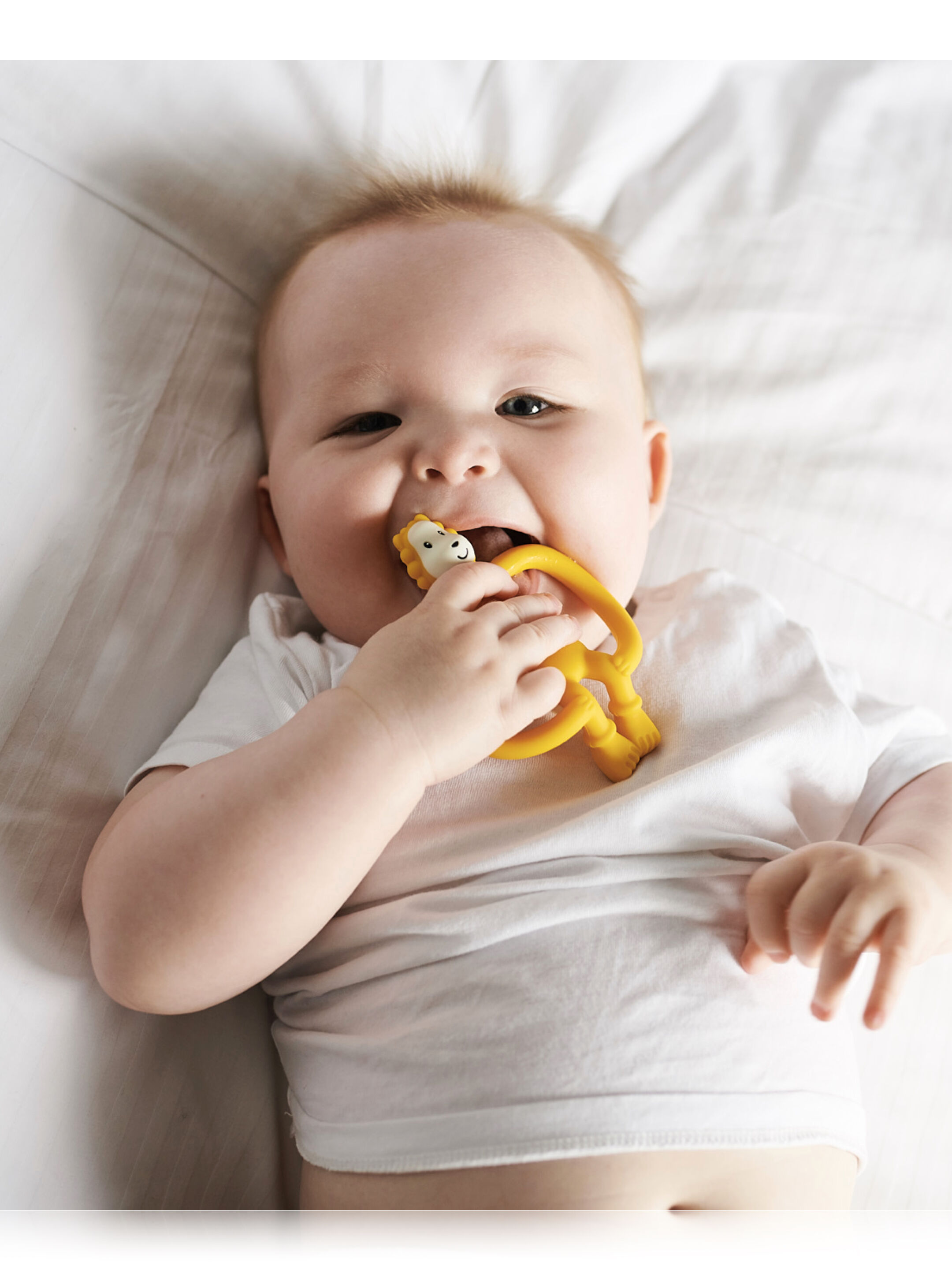 Matchstick Monkey Animal Teether - Lion image number 1