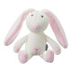 Tommee Tippee Breathable Toy, Betty The Bunny-Pink image number 2